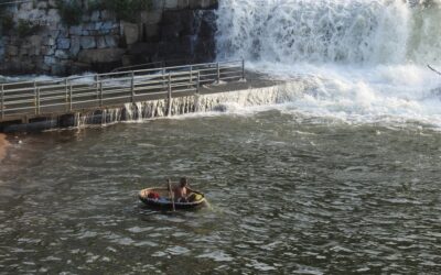 Wading Through The Complexity of India’s Surface Water Resources