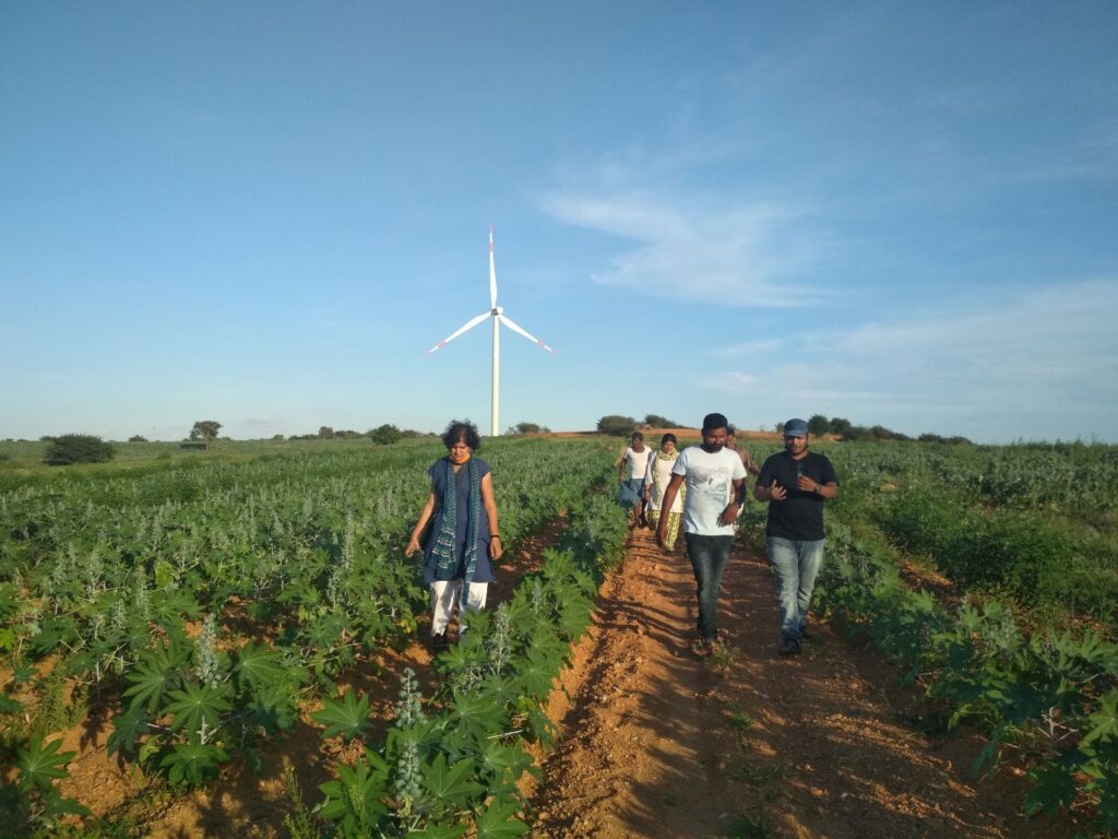 WELL Labs researchers walk along a castor farm with a windmill in the background in Anantapur, Andhra Pradesh, in 2021.