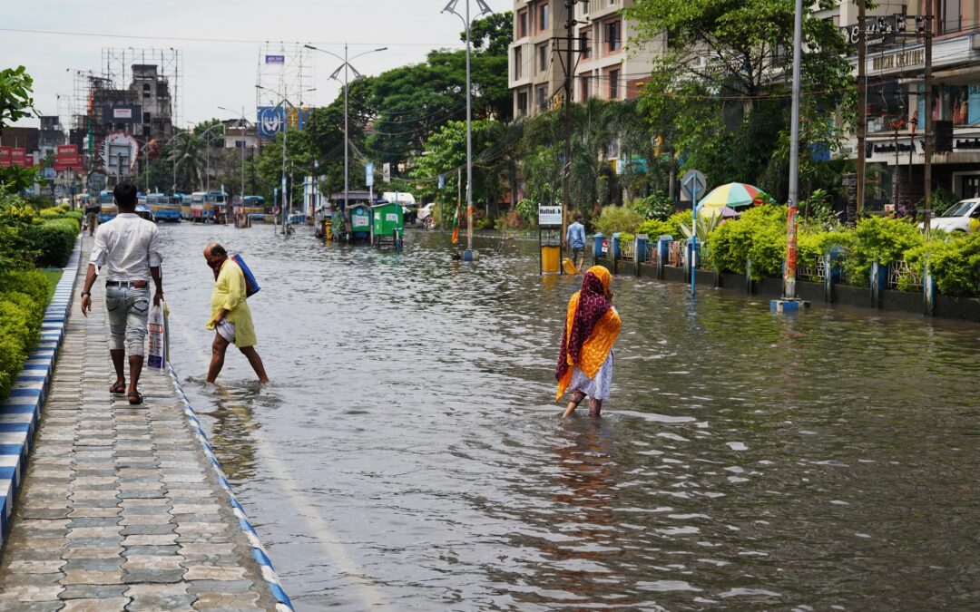 Soak Up the Rain: How a ‘Sponge City’ Makes Urban Areas Climate Resilient