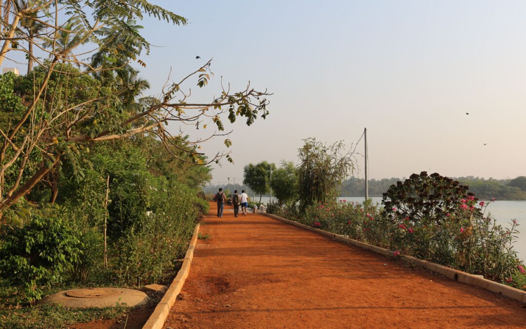 A path along Jakkur Lake, Bengaluru