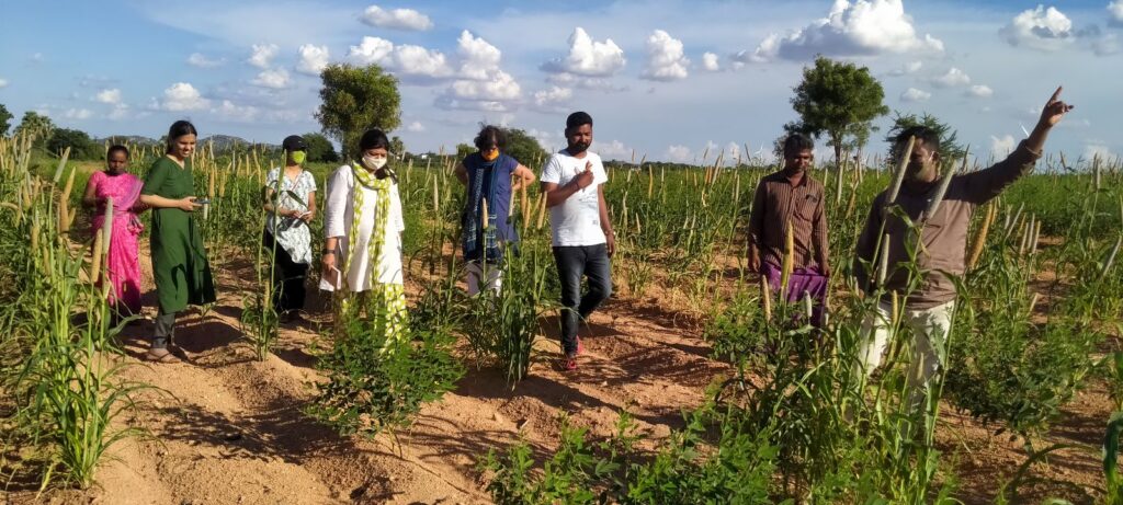 WELL Labs researchers interact with farmers at a millet farm near Anantapur in Andhra Pradesh. Credit: Manjunatha G