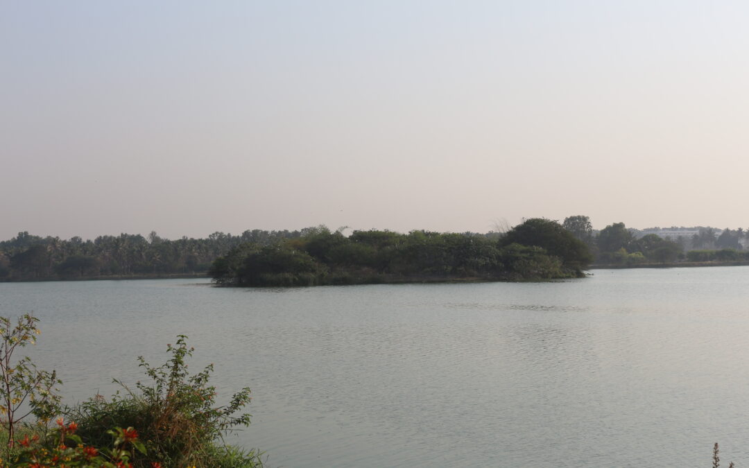 What is The Problem With Bangalore’s lakes?