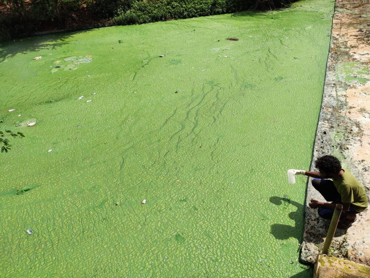 WELL Labs researchers collecting samples from Jakkur Lake, Bangalore, in 2021. Credit: Shashank Palur