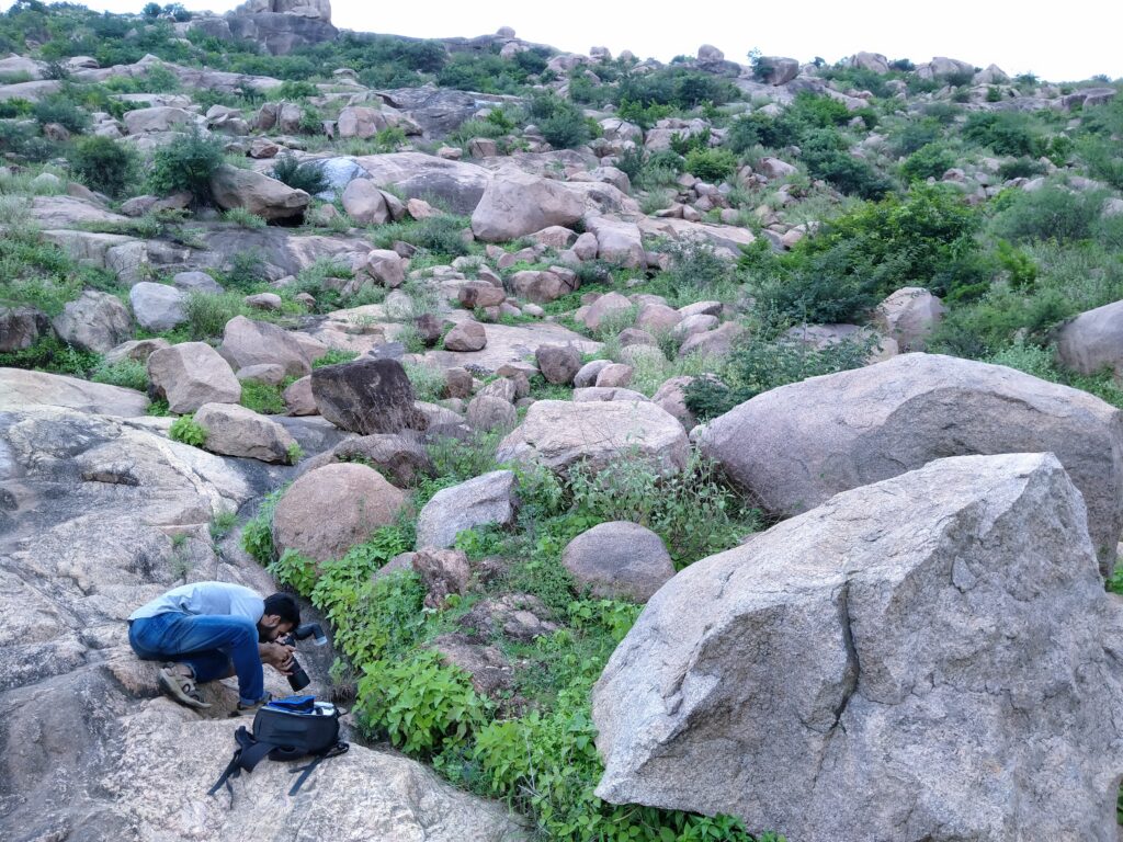 A WELL Labs researcher crouching on rocks to photograph shrubs in Raichur