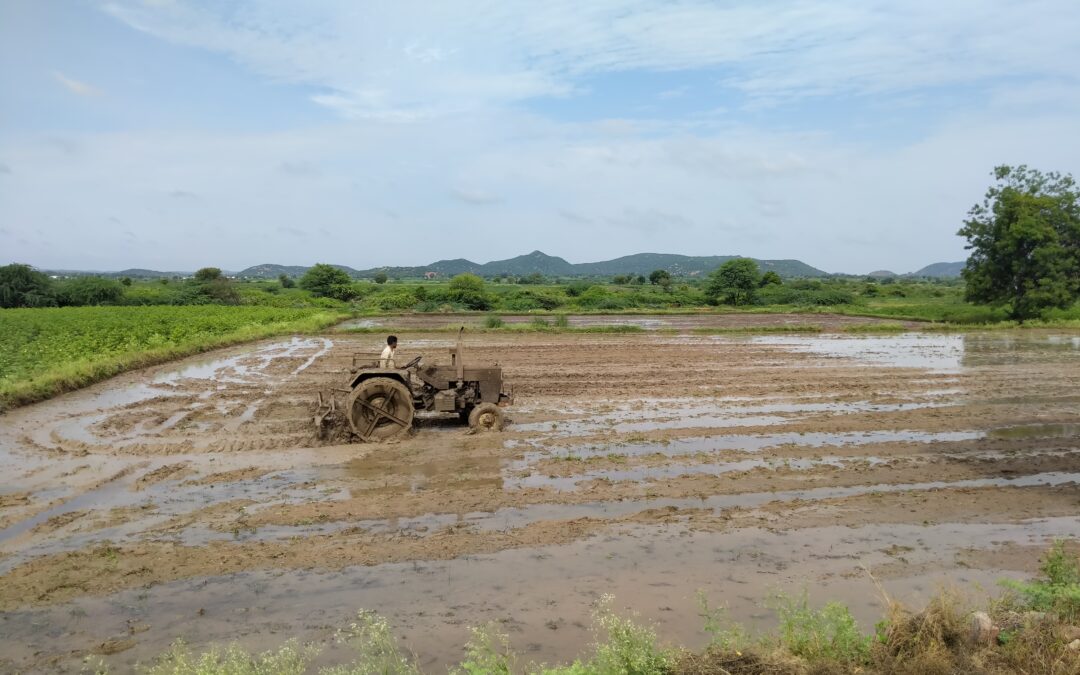 A farmer drives a tractor over a water-filled field in Raichur
