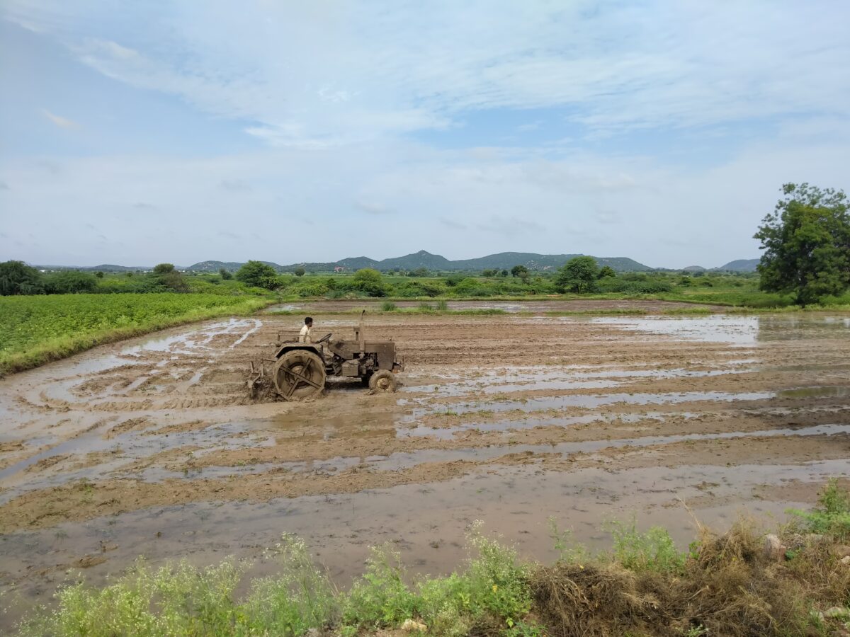 A farmer drives a tractor over a water-filled field in Raichur
