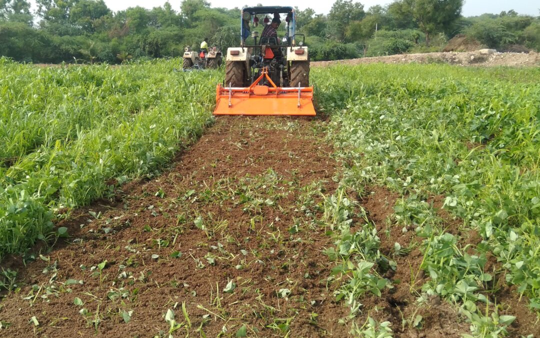 Farmers use a rotavator to uproot and crush a row of plants in June 2023. Credit: Revanna Siddamma, Prarambha
