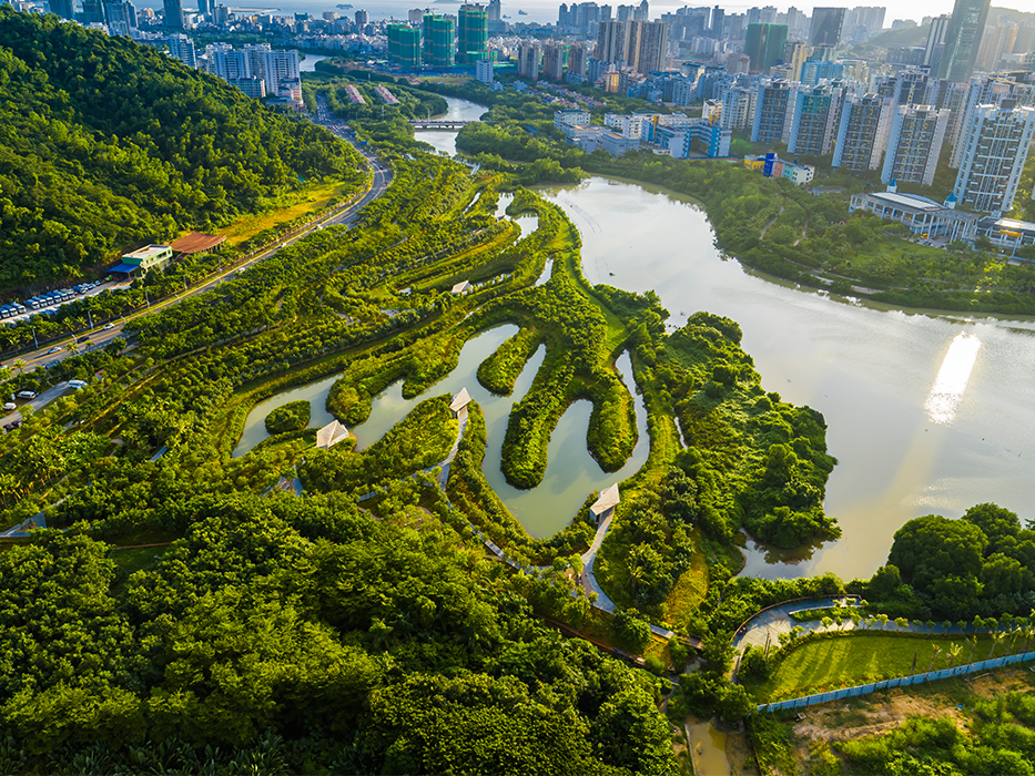 Sanya Mangrove Park in China’s Hainan Island, an example of the sponge cities concept at work.