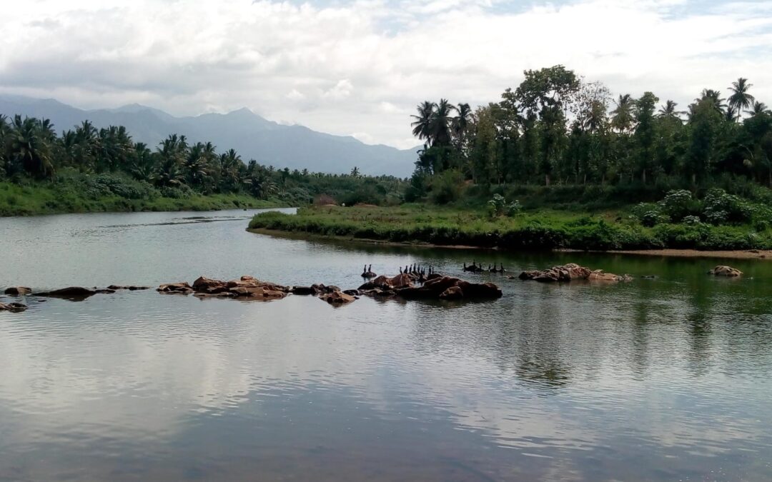 A view of the Bhavani river. Photo by Rashmi Kulranjan