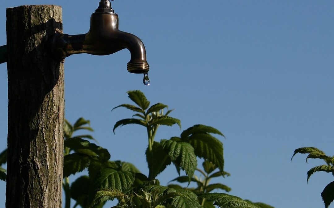 A photo of a tap with the sky and foliage in the background