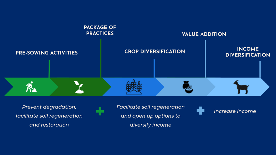 Intervention components (the farmer workshop focussed on 3 components on the right - crop diversification, value addition and income diversification)