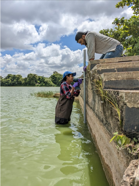 Research Public Square: WELL Labs and ATREE researcher Rashmi Kulranjan puts in place water level sensors in a lake in north Bengaluru.