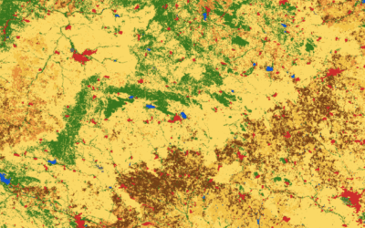 How Often are India’s Farming Patterns Changing? With IIT Delhi, We Turn to New Land Use Maps for Answers