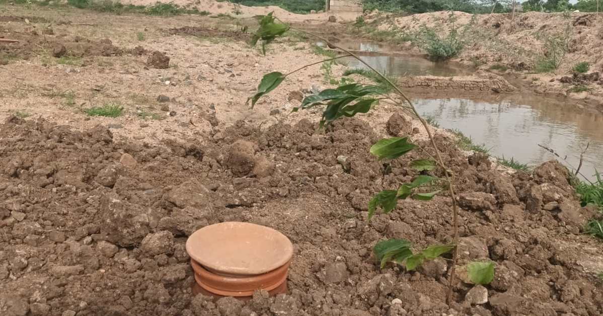 A pot buried next to a plant in the pot irrigation site in Raichur.
