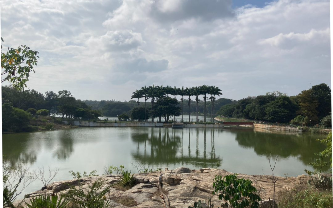 An image of a lake in Bengaluru with water inlets and walking tracks.