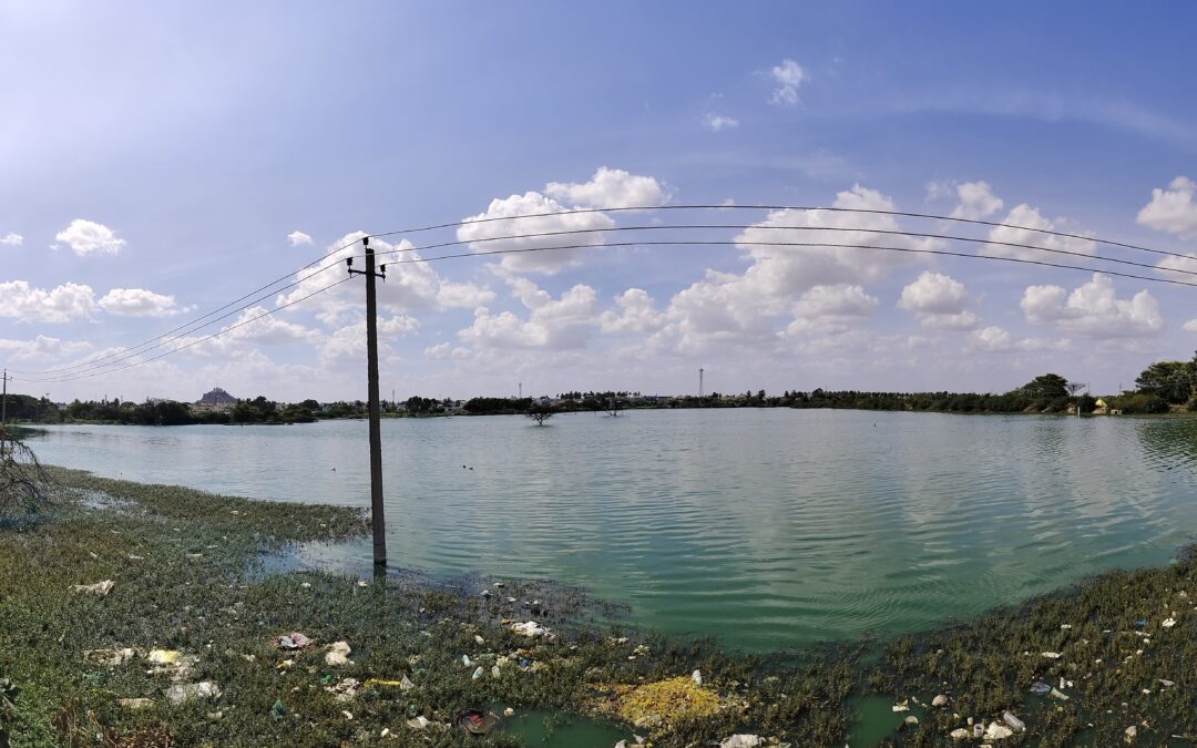 A photo of a lake with trash and aquatic plants in the foreground in Chintamani, Karnataka