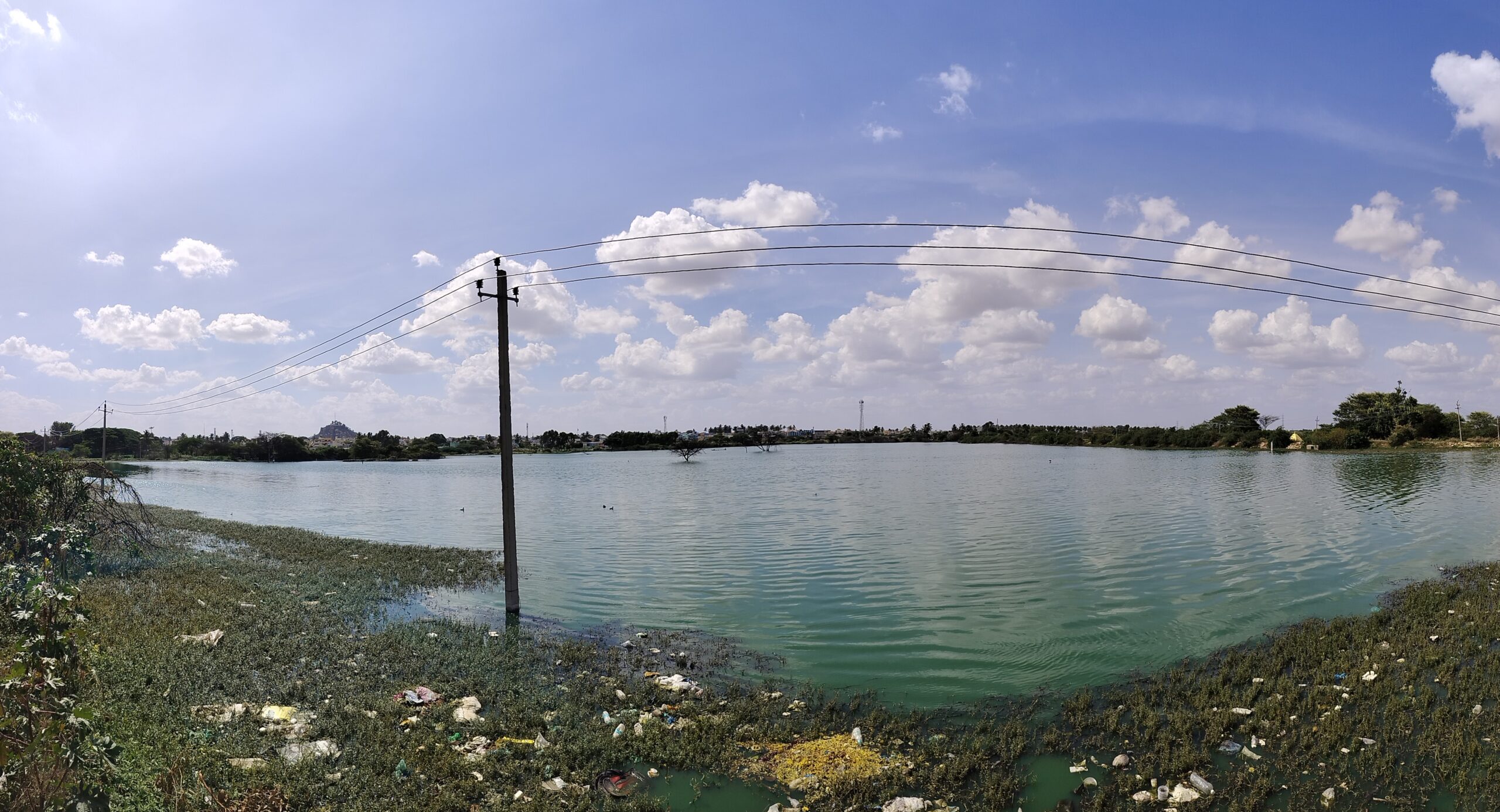 A photo of a lake with trash and aquatic plants in the foreground in Chintamani, Karnataka