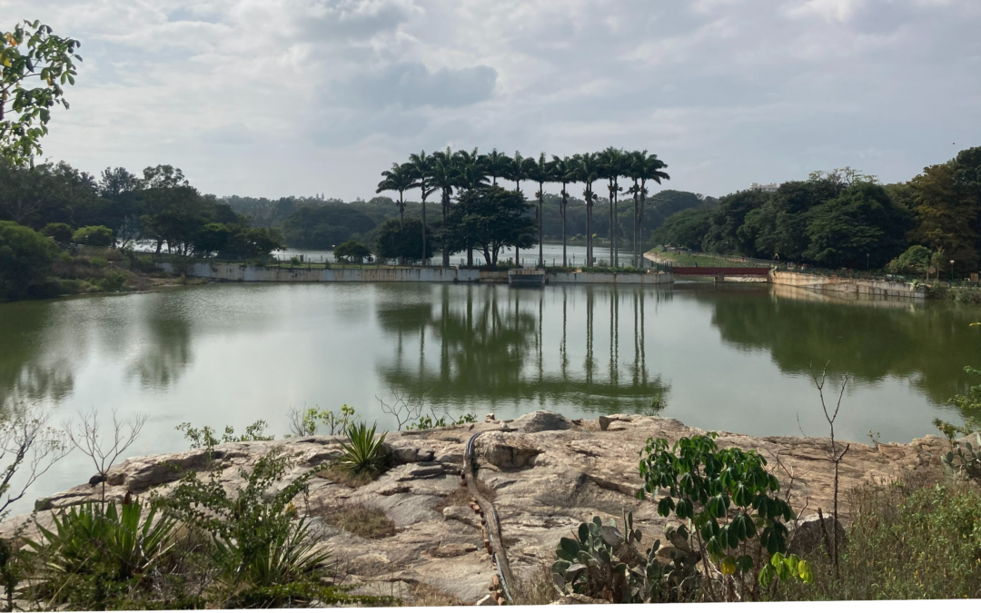 An image of a lake in Bengaluru with water inlets and walking tracks.