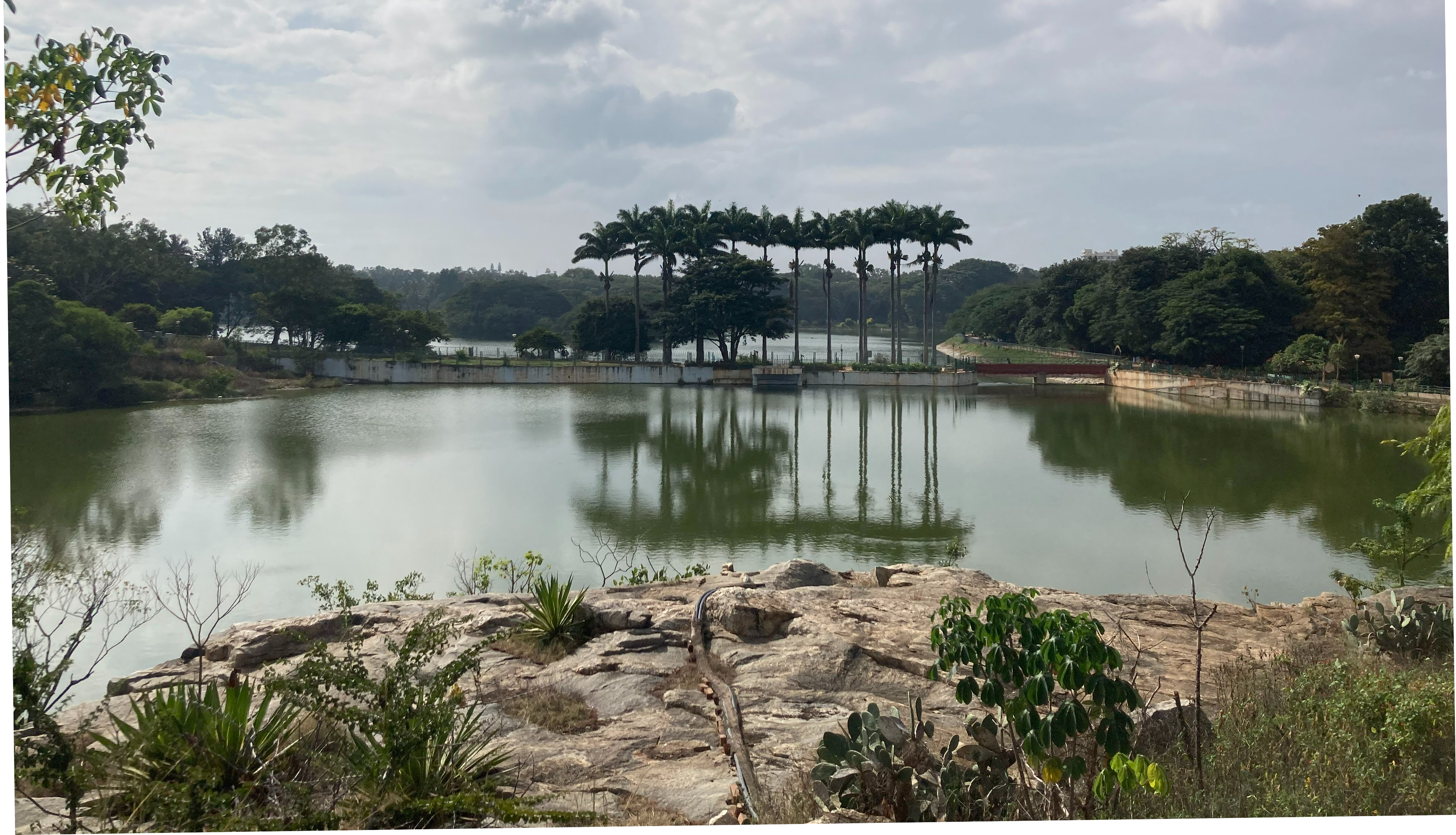 An image of a lake in Bengaluru with water inlets and walking tracks.