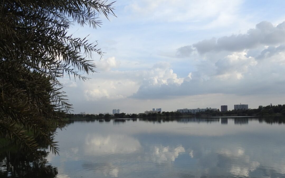 A panorama of Jakkur Lake, Bengaluru