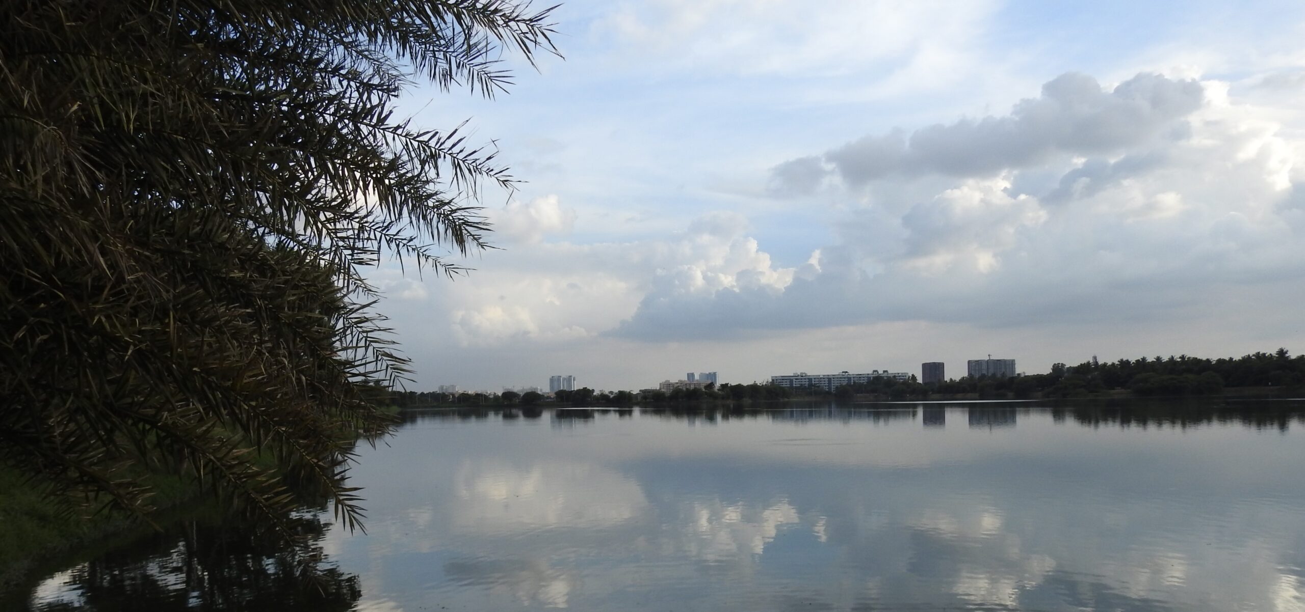 A panorama of Jakkur Lake, Bengaluru