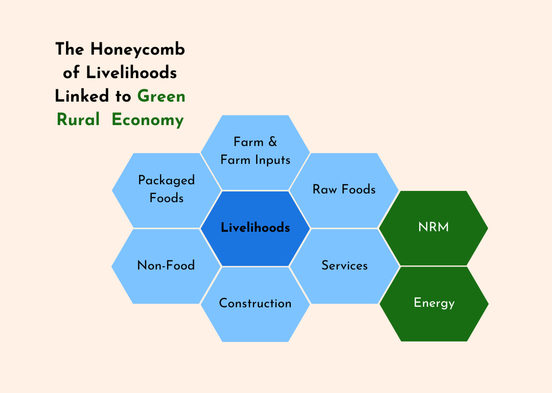 The Honeycomb of Livelihoods Linked to Green Rural Economy