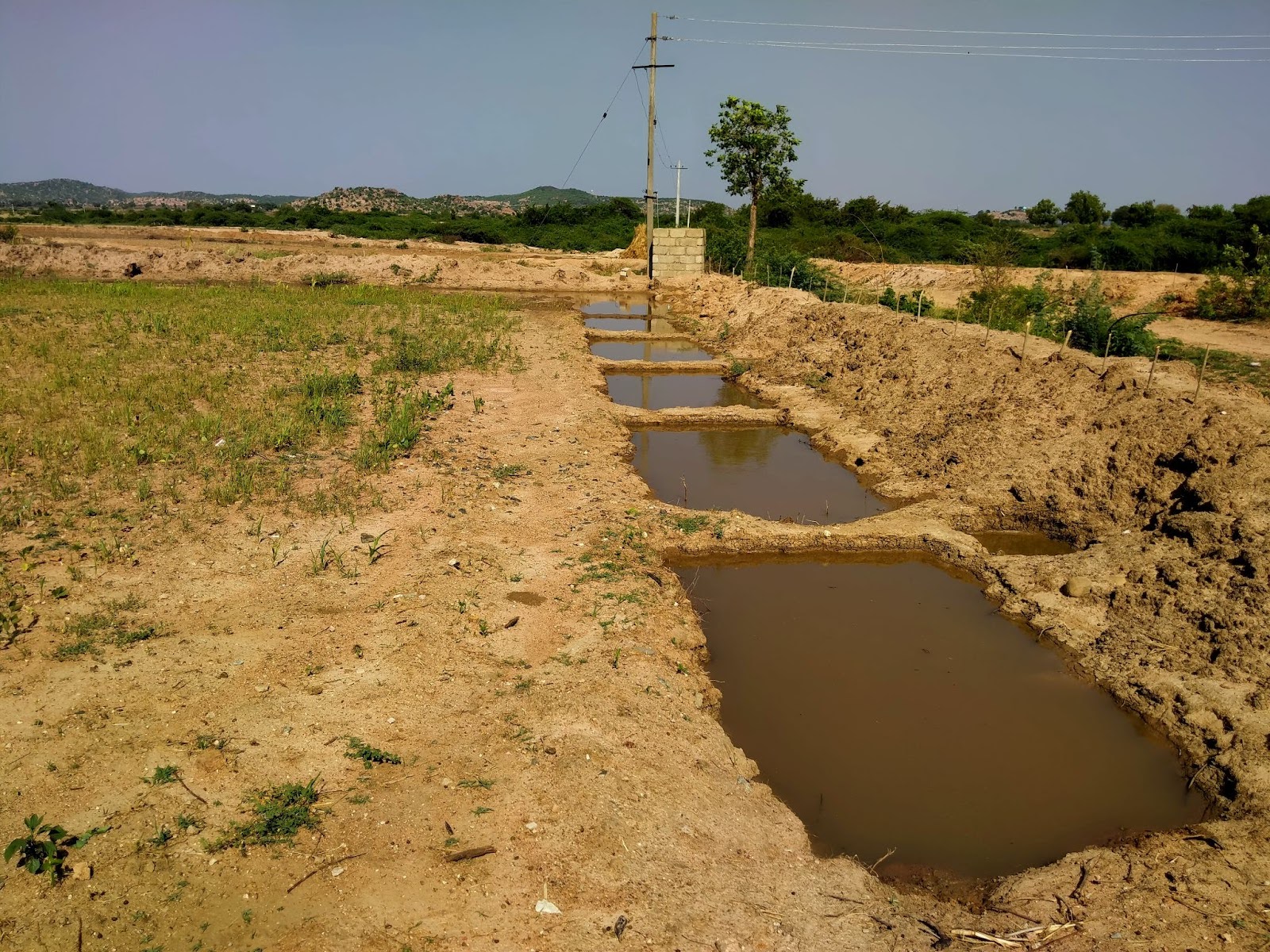 Trench-cum-bund pits are constructed along the edges of fields to prevent rainwater from flowing away.