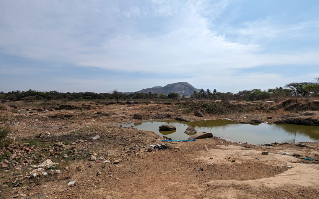 A view of Malapalli lake in Chintamani, Karnataka. One of many small towns in the state experiencing severe water scarcity.