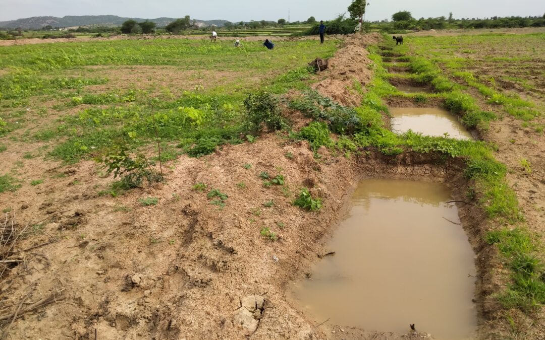 Field Notes from Raichur: Why MGNREGS Remains Key for Water Conservation in Rural India