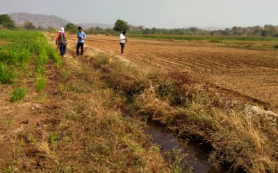 How Water Shapes the Lives of Farmers in Raichur: Field Notes from Mandalgudda