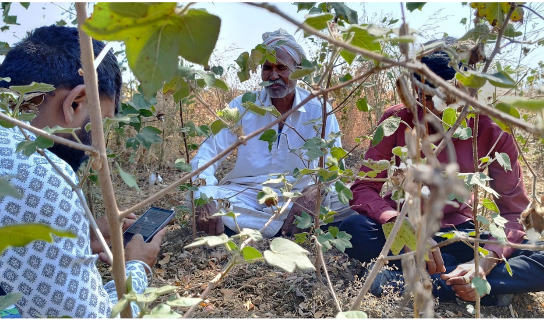 Monitoring and Evaluation of JalTara Pits