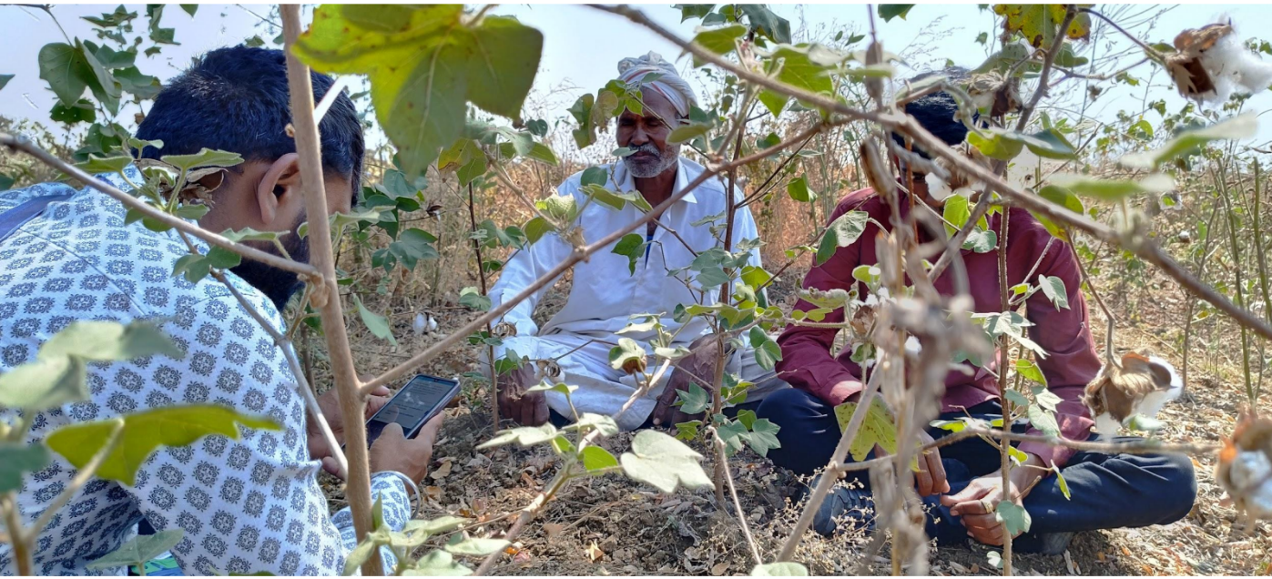 Farmer field surveys in Jalna.