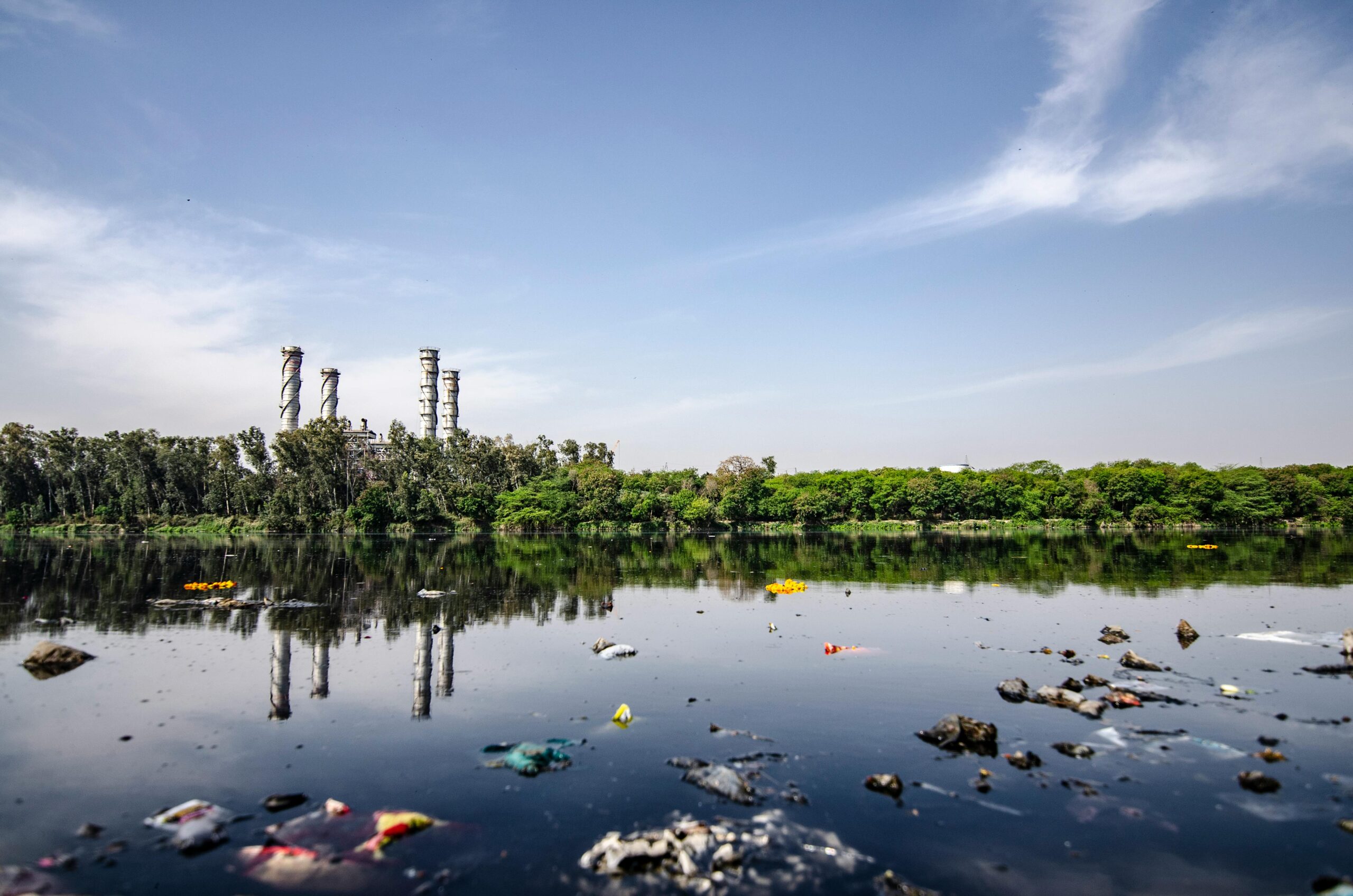 Garbage on a body of water in India.