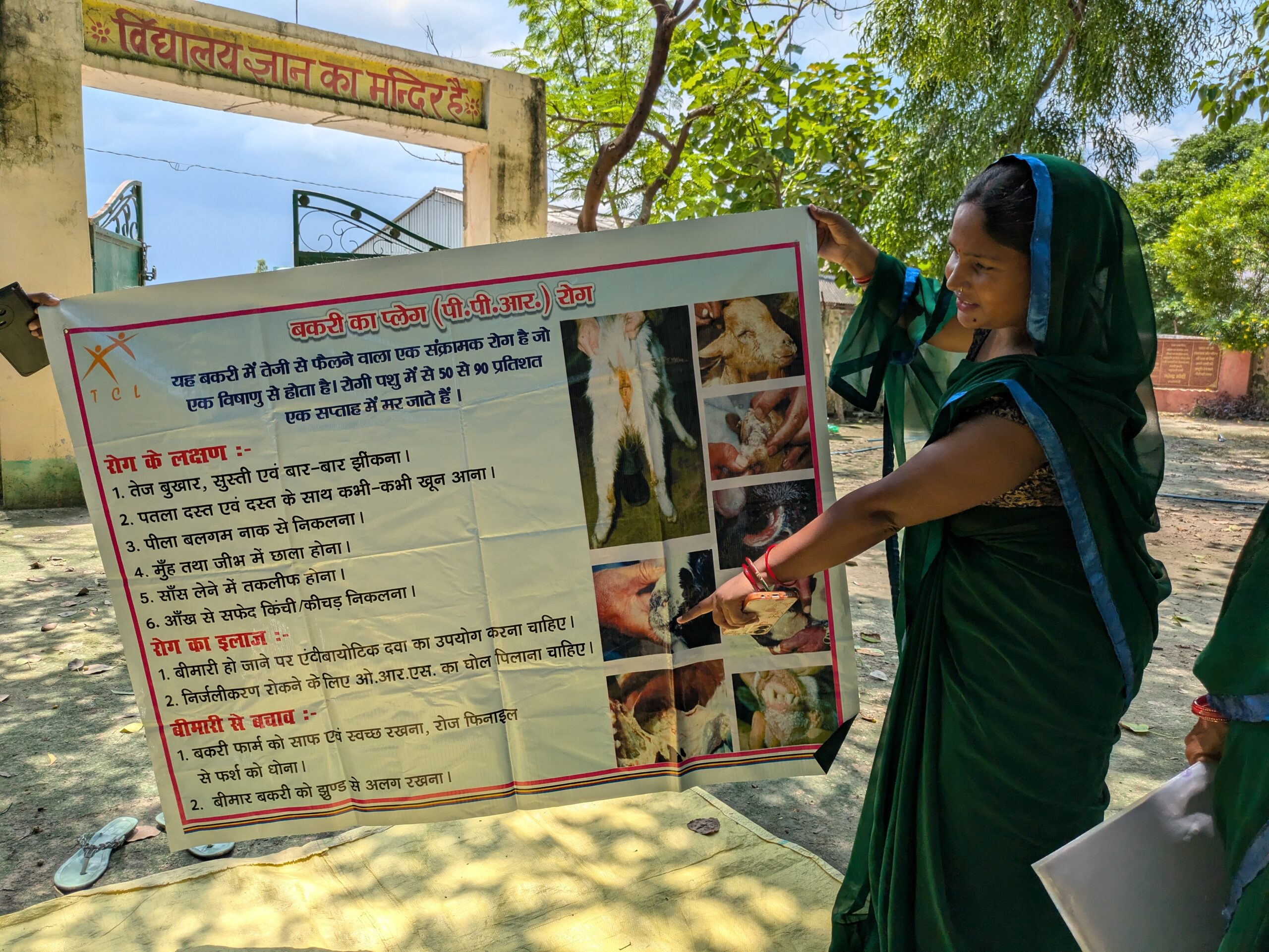 A woman in a green sari holds a chart with text in Hindi about diseases in goats. She is pointing an image of a diseased goat on the chart.