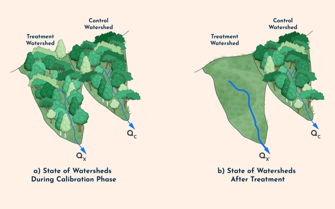 Paired Watershed Studies: Evaluating the Impact of Watershed Management Interventions