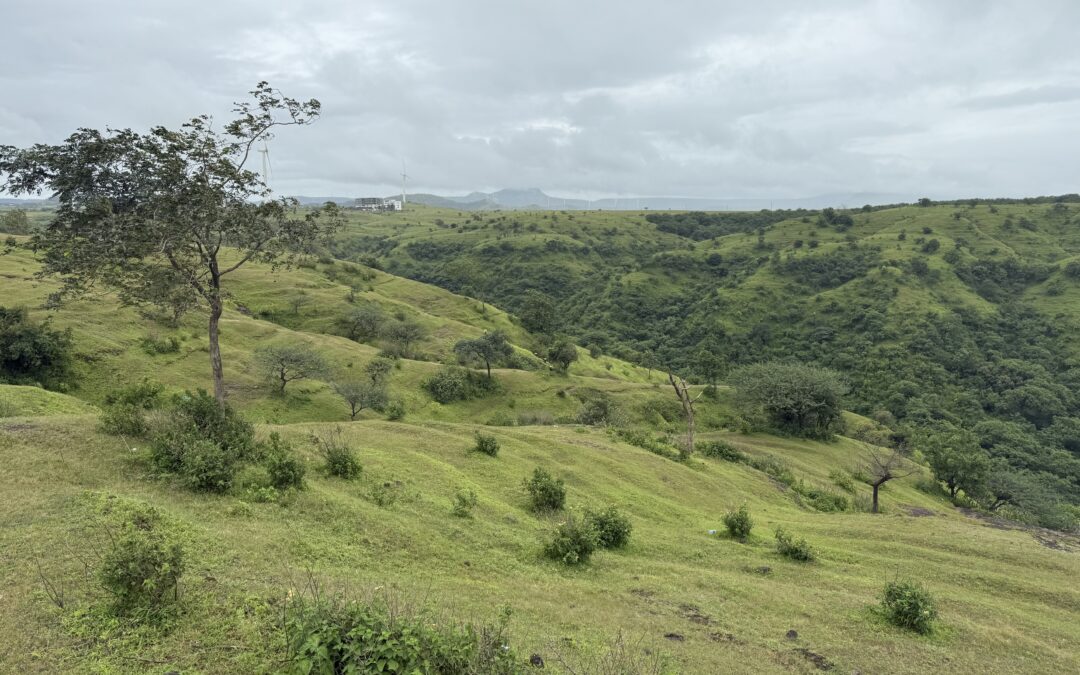 An image of two green hills, taken from atop one of them. Shrubs dot the slopes, and the sky is cloudy.