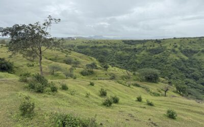 When Wells Fill Fast and Dry Faster: Lessons from Nashik’s Basaltic Uplands