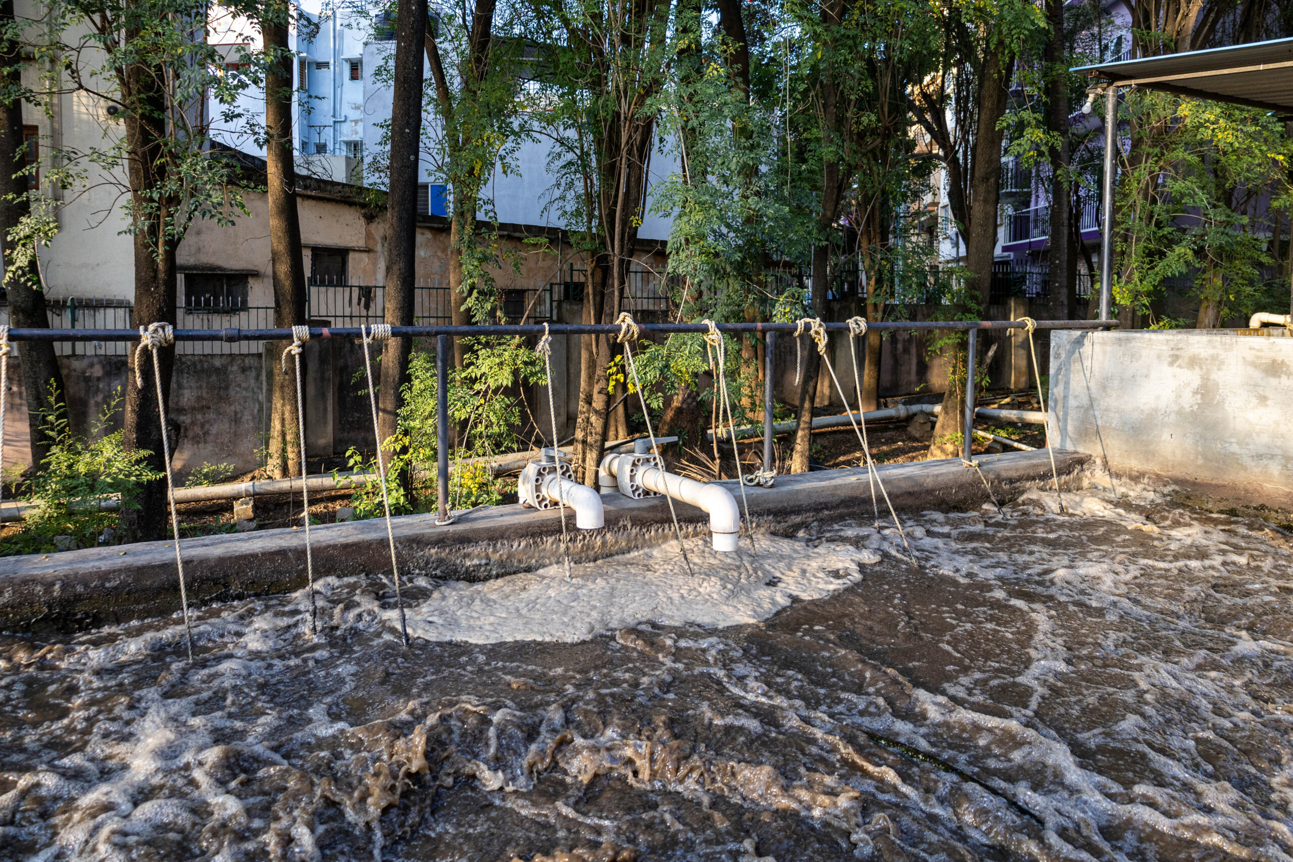 Image of wastewater flowing out of pipes, and collecting into a concrete tank structure. 