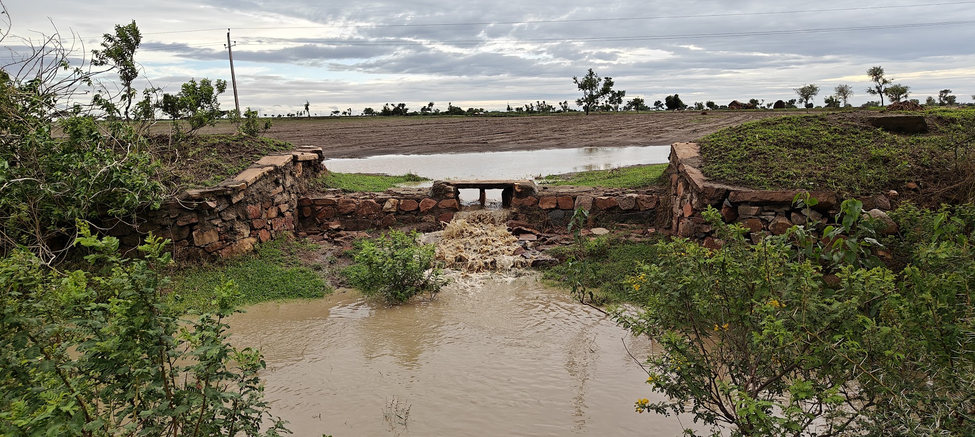 Water flows out of an agricultural field, through an opening in a bund made of bricks. 