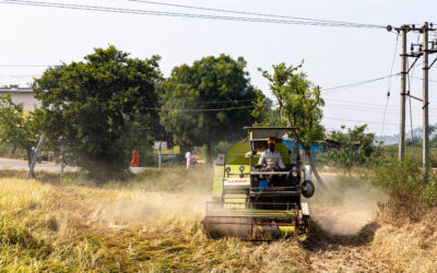 Unpacking the Gender Gap in India’s Agricultural Tech Revolution
