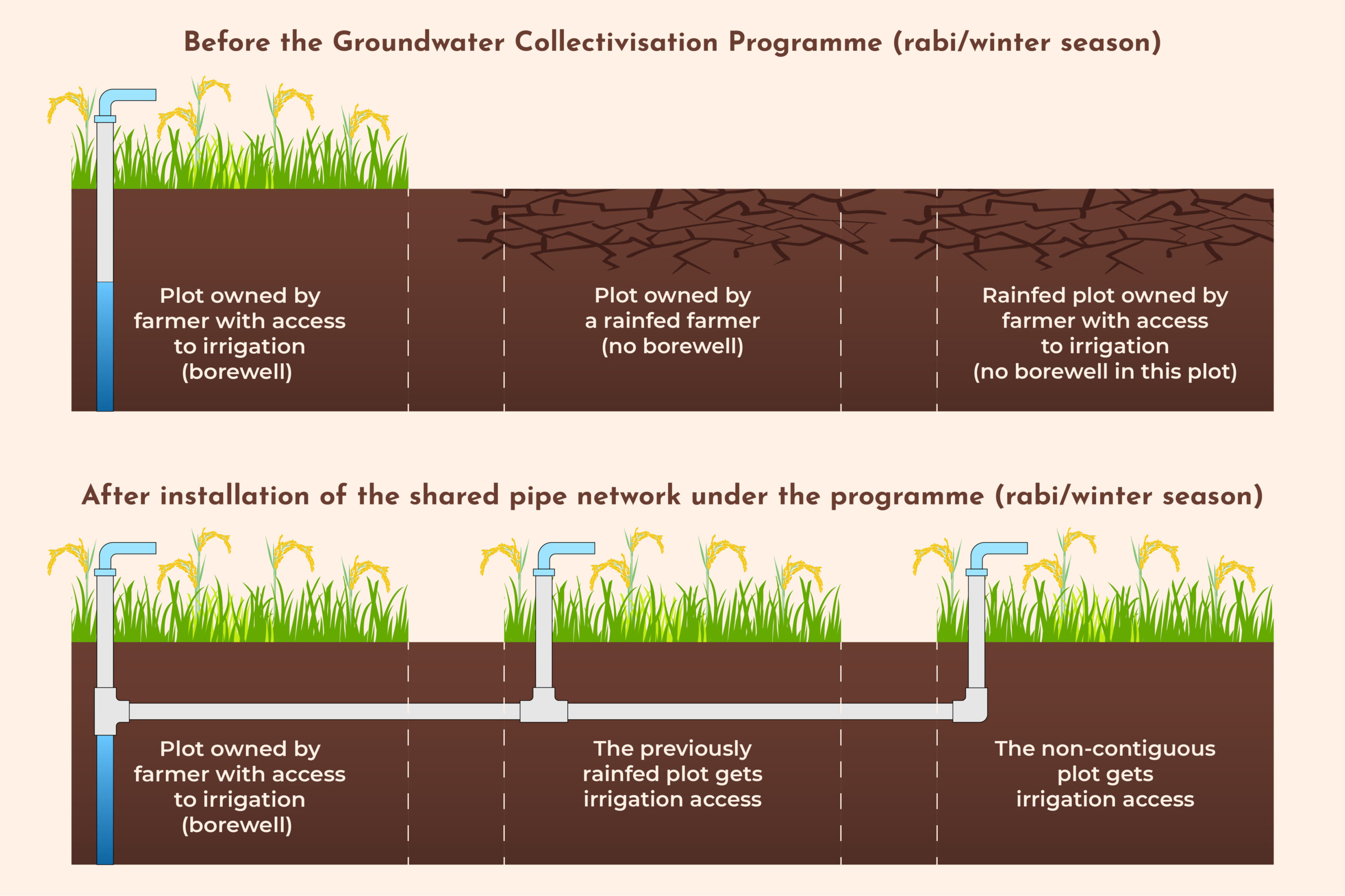 An illustration showing the impact of the groundwater collectivisation program during rabi season. 

Before the programme was implemented: plots owned by farmer with access to irrigation (borewell) thrived, while rainfed plots ran dry. 

After installation of the shared pipe network under the programme: both irrigated and rainfed plots thrive. 