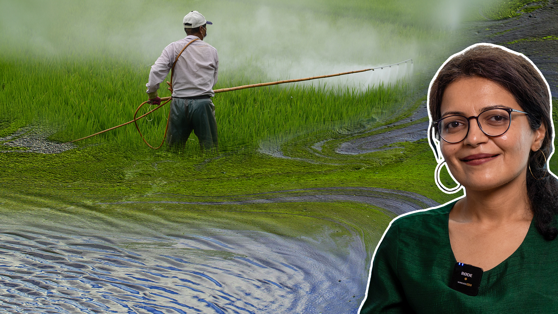 Esha Zaveri in the foreground, overlaid on a paddy field where a farmer sprays fertilizer or pesticide, symbolizing agriculture, water pollution, and nitrogen management.