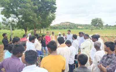 From Fields of Struggle to Hubs of Innovation: Farmers, Mechanisation, and the Promise of Local Enterprise