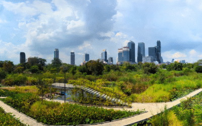 Why Nature-Based Solutions Must Balance Ecology, Economy, and Community