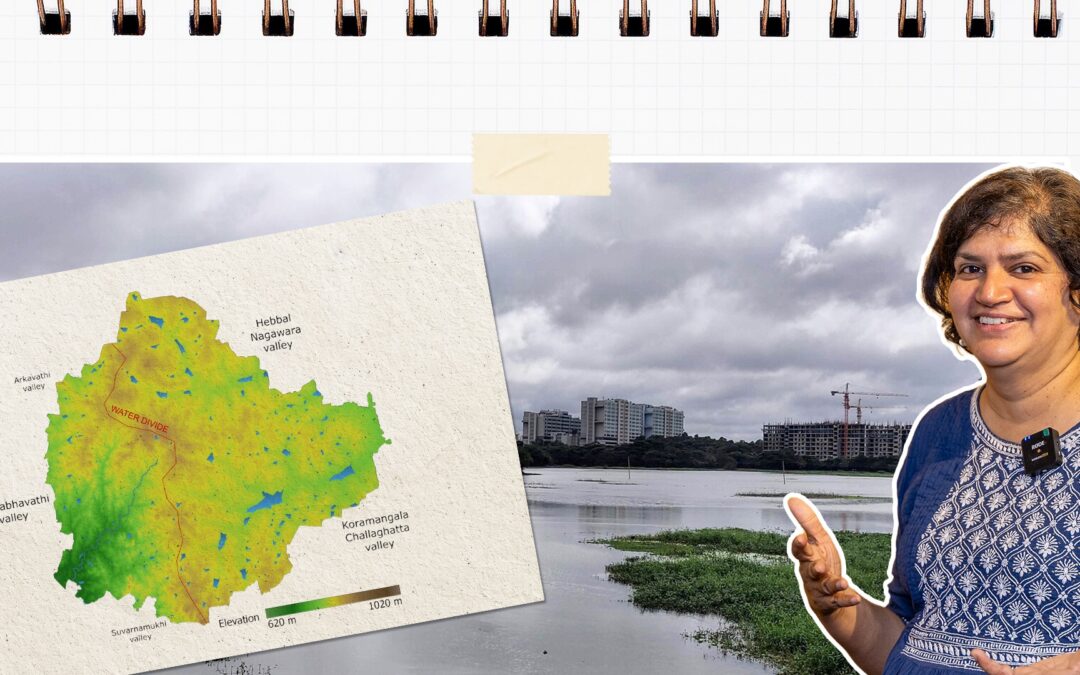 The Science of Bengaluru’s Lakes with Veena Srinivasan