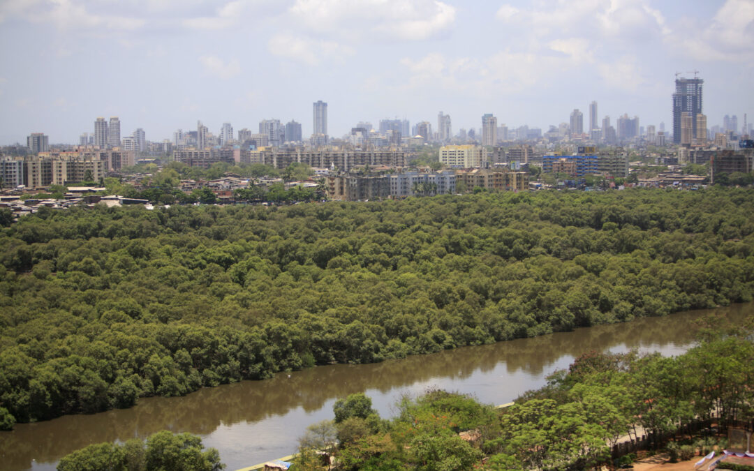 Barriers to Mainstreaming Nature-Based Solutions in Urban India