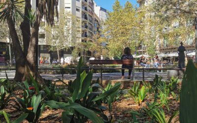 How India Can Promote Nature-Based Solutions: Lessons from Singapore, China, and the European Union