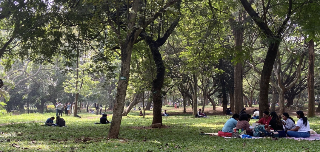 The value of green: Why cities must invest in Nature-based solutions