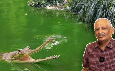 Eco-Hydrology with Jagdish Krishnaswamy