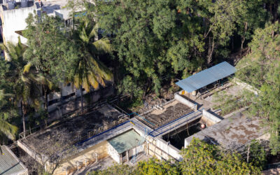 WELL Labs Featured in Discovery Channel